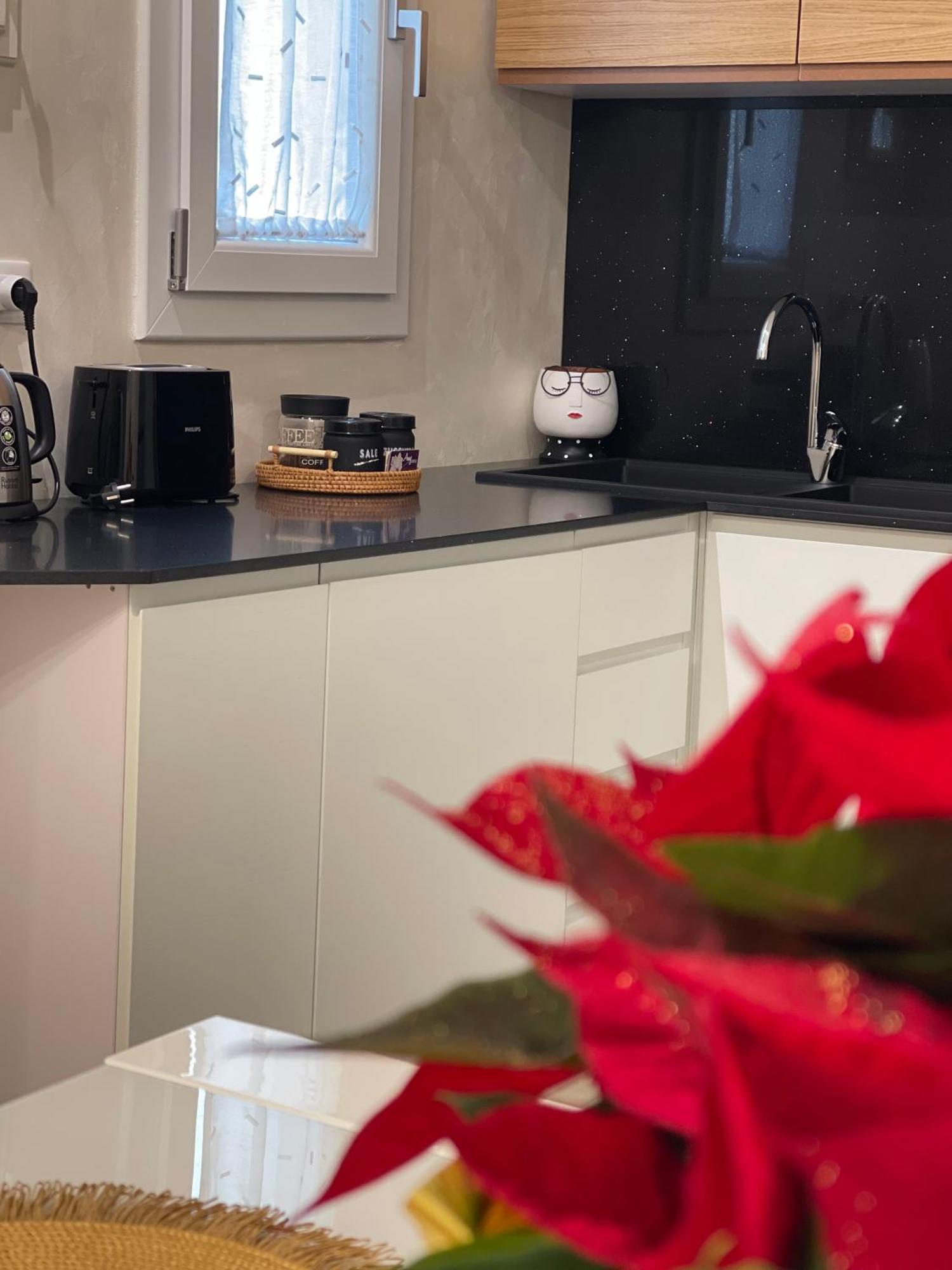 Magicflo Santa Croce Appartamento Φλωρεντία Εξωτερικό φωτογραφία